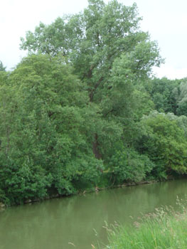 Impozantne sa vypína nad riekou
